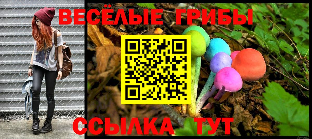 Галлюциногенные грибы Magic Shrooms Энгельс