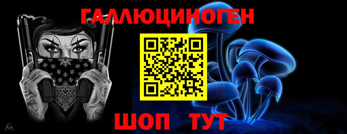 Галлюциногенные грибы GOLDEN TEACHER  Псилоцибиновые грибы GOLDEN TEACHER  хочу наркоту  Вход с VPN  Энгельс 
